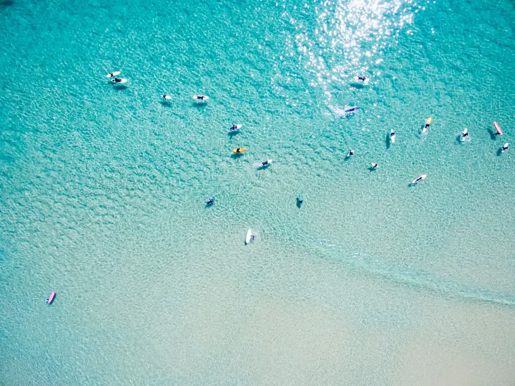 Aerial view of people swimming in ocean.