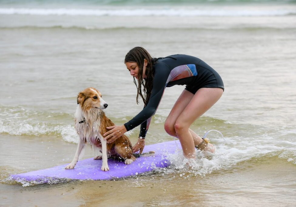 Woman helps dog on a surfboard.